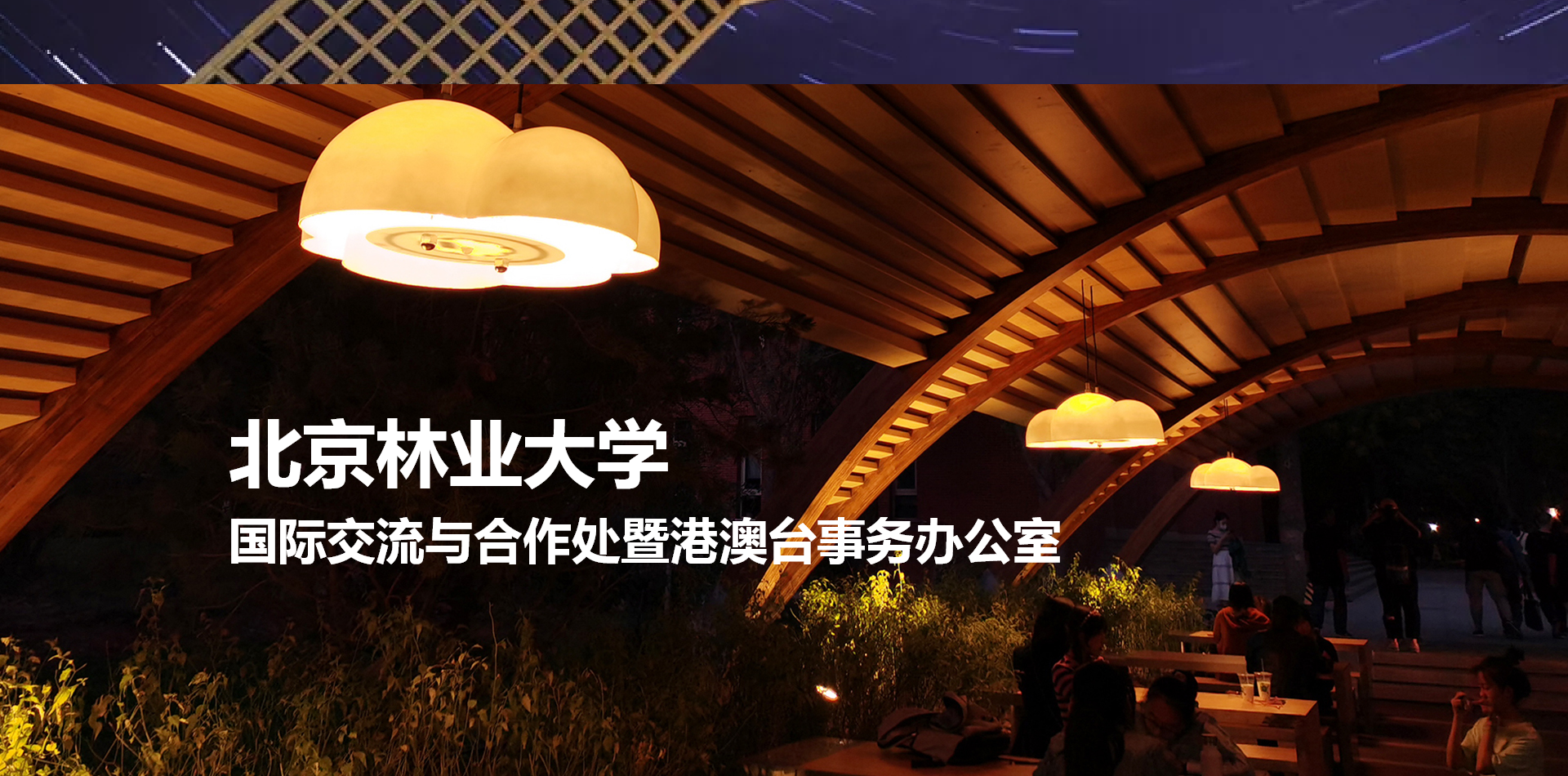 智能問答